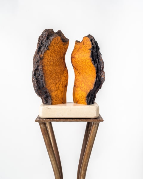 The Space Between by Rigsby Frederick 