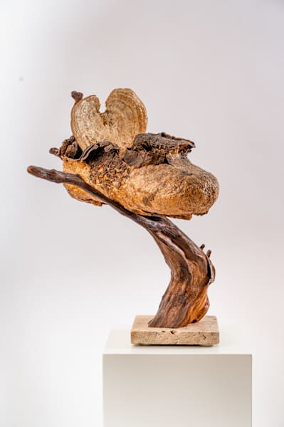 Arizona by Rigsby Frederick 