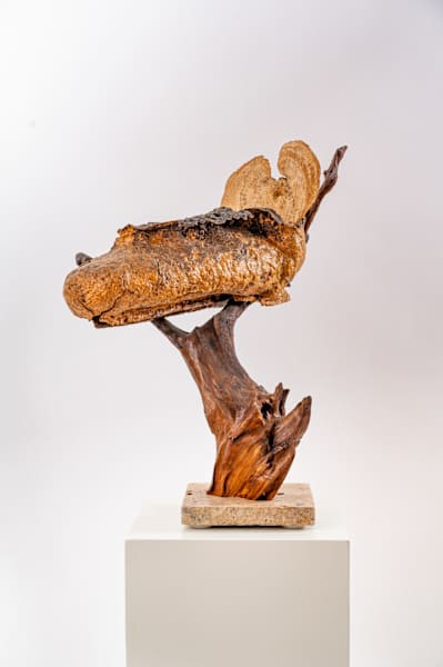 Arizona by Rigsby Frederick 