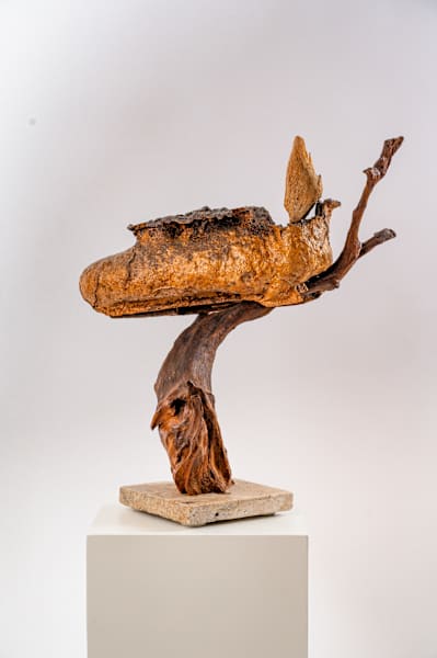 Arizona by Rigsby Frederick 