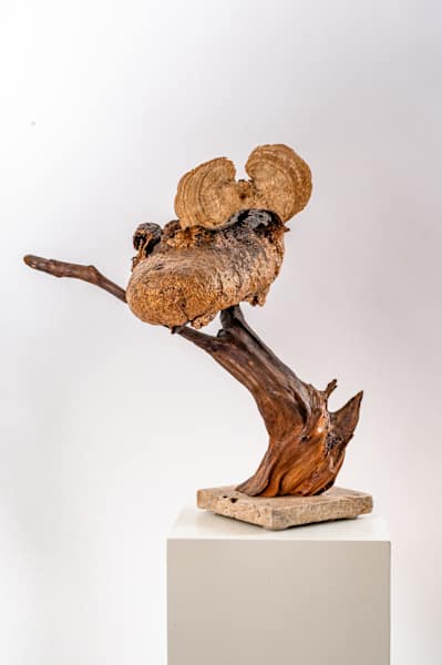 Arizona by Rigsby Frederick 