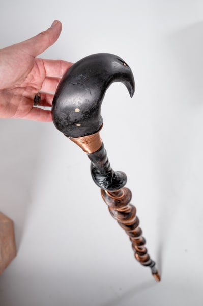 Walking Stick No. 6 by Rigsby Frederick 