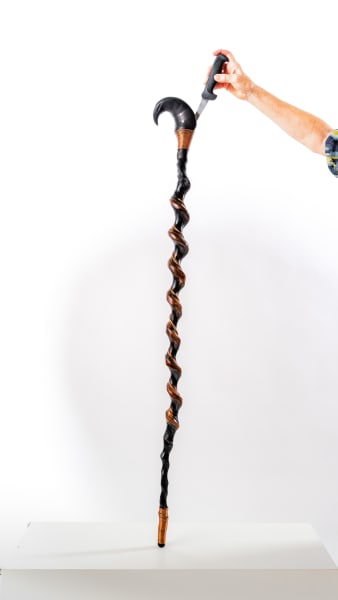 Walking Stick No. 6 by Rigsby Frederick 