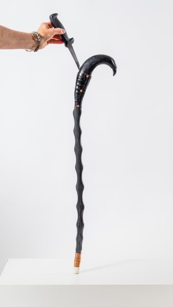 Walking Stick No 4 by Rigsby Frederick 