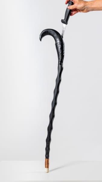 Walking Stick No 4 by Rigsby Frederick 