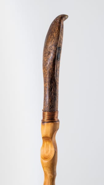 Walking Stick No. 3 by Rigsby Frederick 