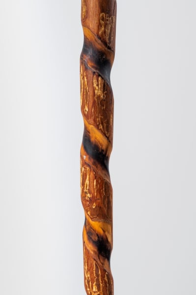 Walking Stick No. 3 by Rigsby Frederick 