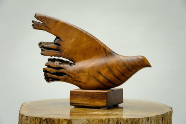 Dove by Rigsby Frederick 