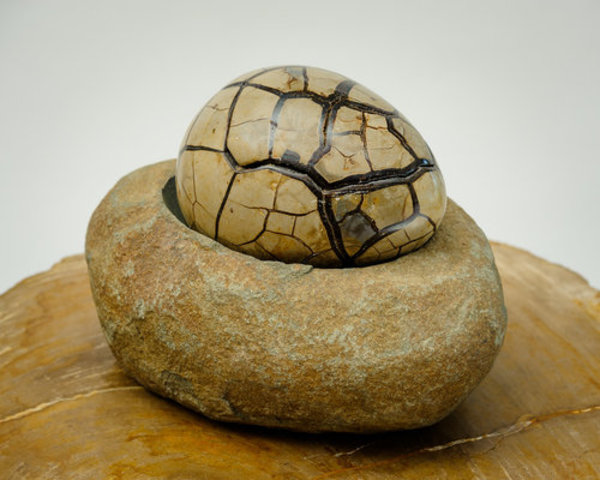 Dragon Septarian Geode by Rigsby Frederick 