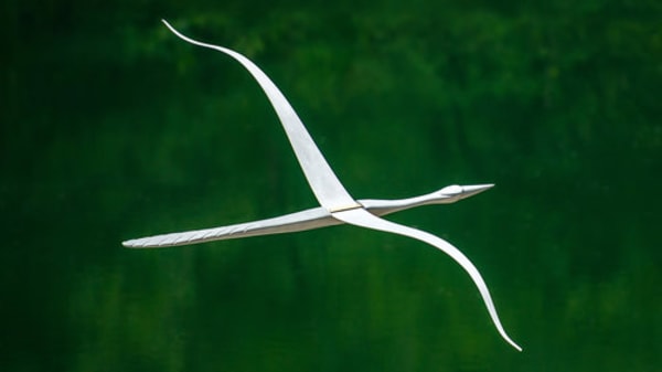 Heron by Rigsby Frederick 