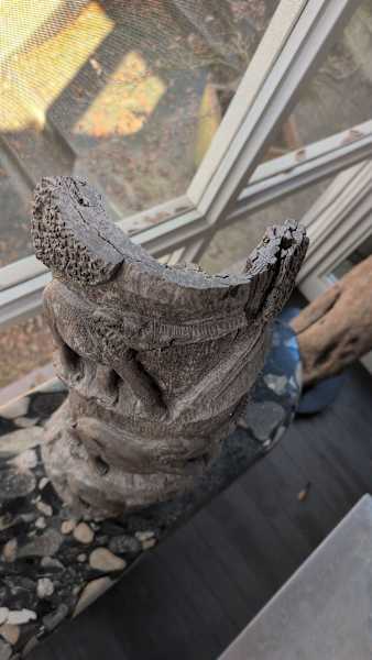 Elephants on High by Rigsby Frederick 