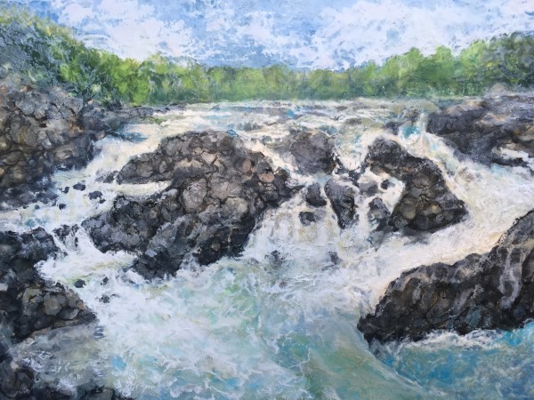 Great Falls Park by Anne Stine | Artwork Archive