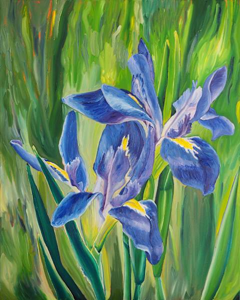 Native Louisiana Blue Flag Irises at Bayou Teche from the collection of