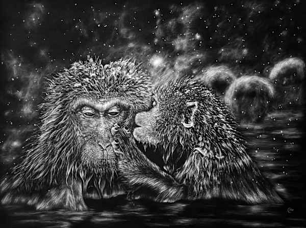 Cole_Nathan_The_Snow_Monkeys_o