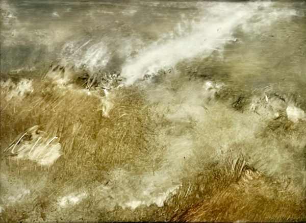 Field from the collection of Museo Gallery | Artwork Archive