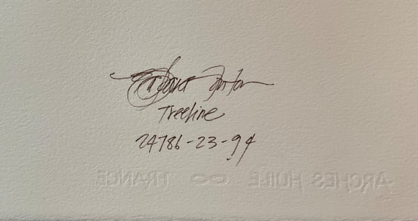 Treeline, No.4 by Barbara Houston  Image: Signature, 'Treeline', 24786-23-94, [BHSTN-YEAR CREATED-SEQUENCE]
 reverse, lower right hand, 