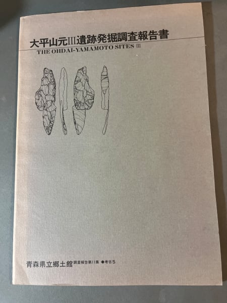 遺跡発掘調査報告書 ―古書・古本―渡井書店