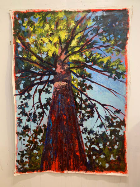 Tree Being by Holly Friesen 