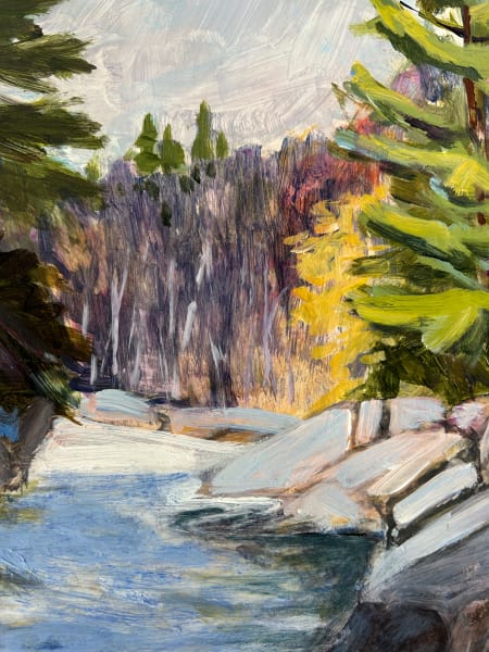 Water Moving Through Shadow by Holly Friesen  Image: detail