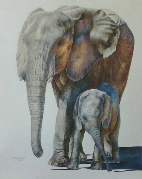 Mama And Calf African Elephants By Taylor Artwork Archive