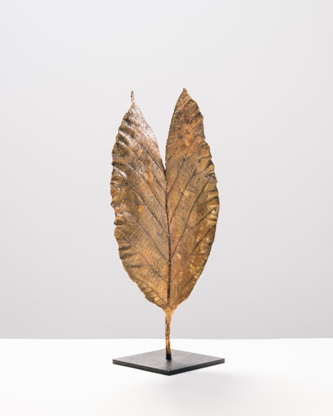 Feuille fendue by Clotilde ANCARANI 