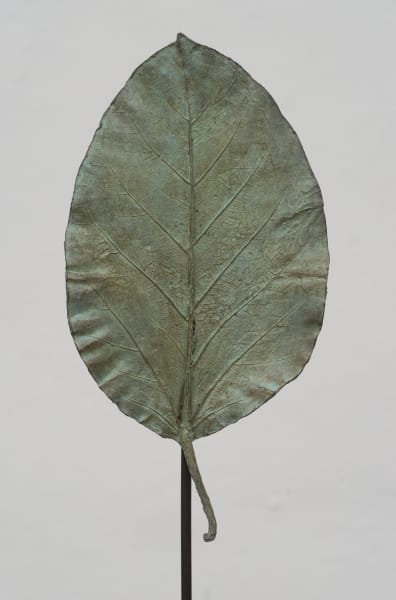 Petite feuille Ovale Pointue (Green) by Clotilde ANCARANI 