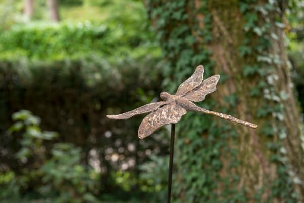 Libellule sur tige by Clotilde ANCARANI 