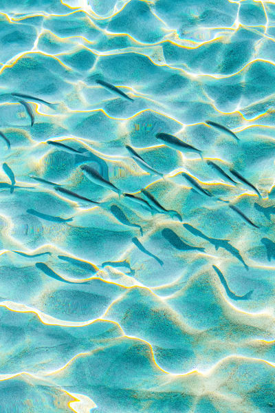 Aquagrafia Mediterranea from the collection of Las Laguna Art Gallery ...