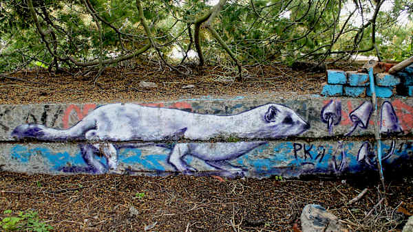 Magic Ferret by Xan Blood Walker | Artwork Archive