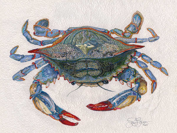 SHE CRAB