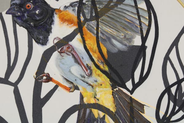 THE TOWHEE THAT FLUTTERS LEAST IS THE LONGEST ON THE WING by Isabelle Klauder 