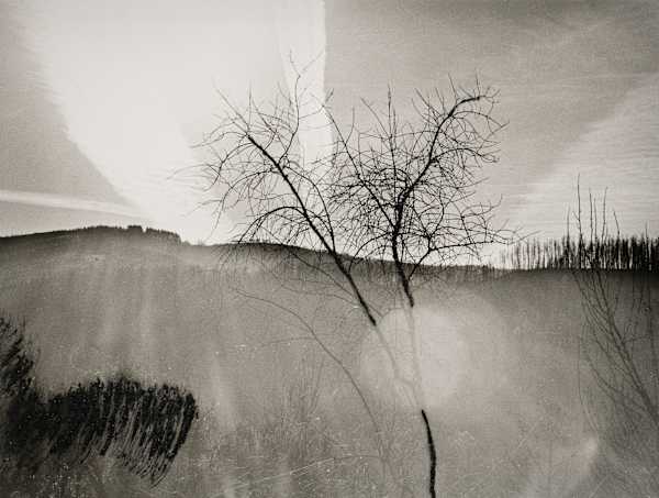 Rift, Image 2.