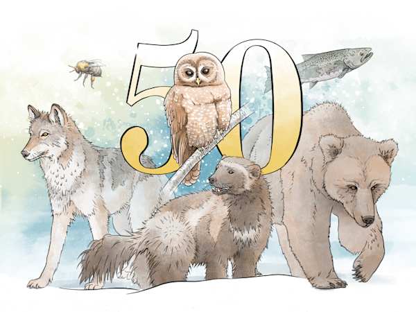 50 Years of Saving Species by Fiona Martin 