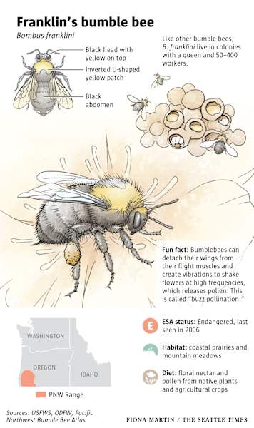50 Years of Saving Species by Fiona Martin 