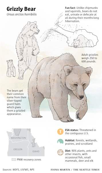 50 Years of Saving Species by Fiona Martin 