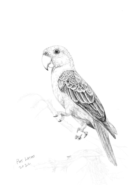 Exploring traditional 2d techniques on the iPad by Patricia Latas 