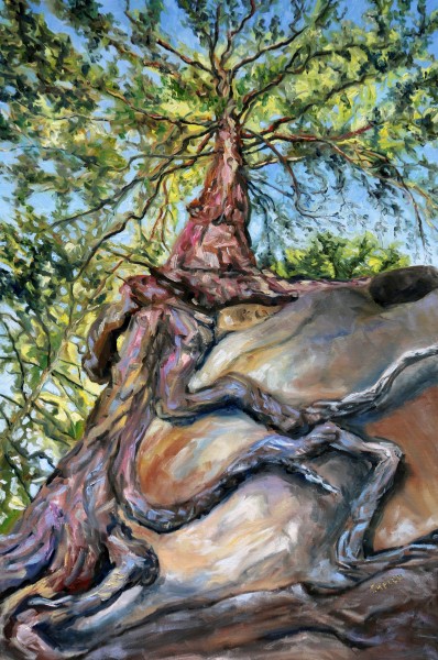 Standing below the old fir at Tribune Bay by Terrill Welch | Artwork ...