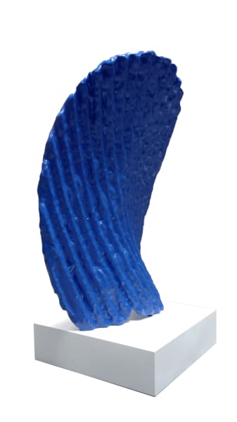 Blue Chip 1/3 by Brendon McNaughton 