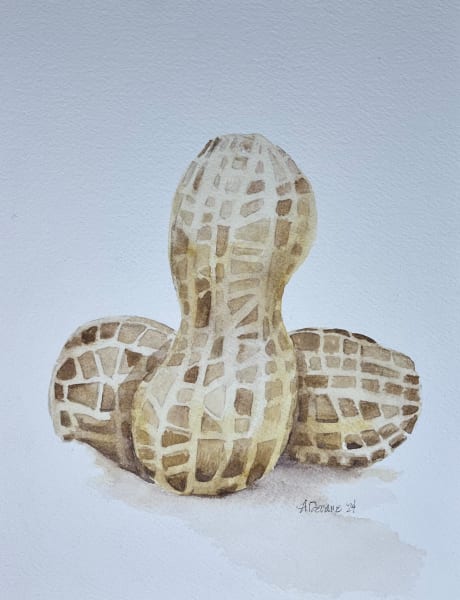 Peanuts by Amy DeVane | Artwork Archive