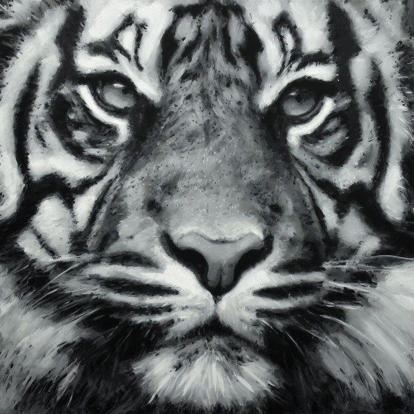 'Tiger One' by Ian Benjamin Griswold | Artwork Archive