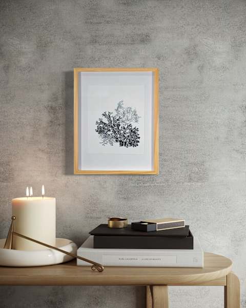 Lichen 4 Ways by Allison Belolan 