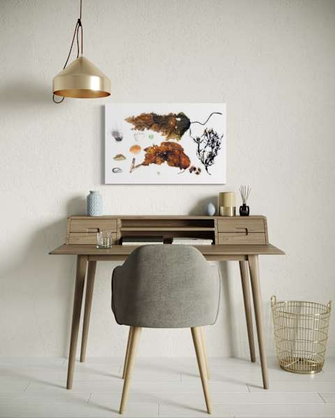 ME Foraged: Sea by Allison Belolan 