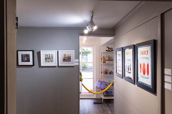 Pigeons Like Candy by Jennie Carr 