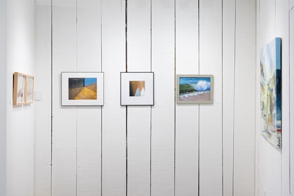 Cross Sections by Judith Montminy 