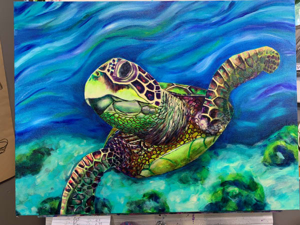 Lana, the Turtle, Creates the Stillness She Needs by Jennifer C ...