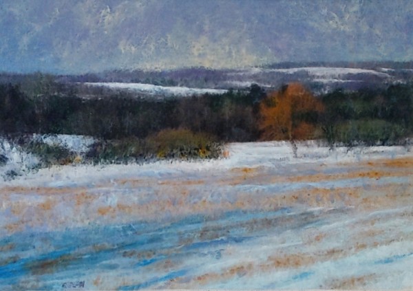 Upstate Winter Field* by James Ridlon