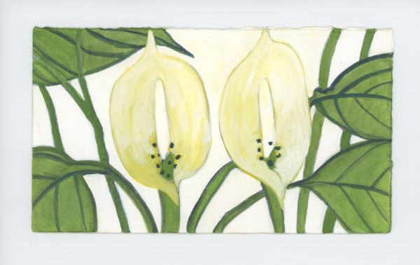 My Chinese Evergreen is Blooming, #1889