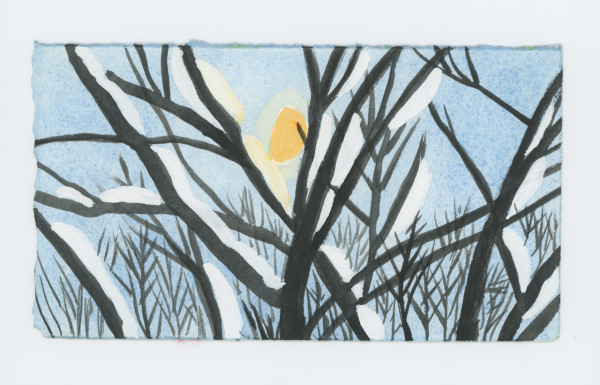 Some Snow on the Branches, #1856