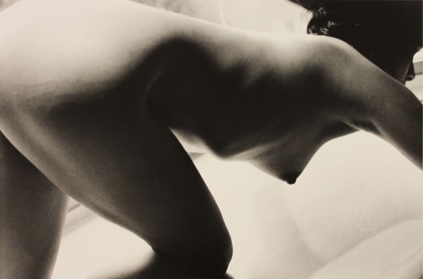 Untitled, #50 from the Infanta series by Ralph Gibson