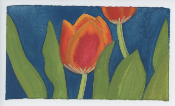 Two Tulips, #1619